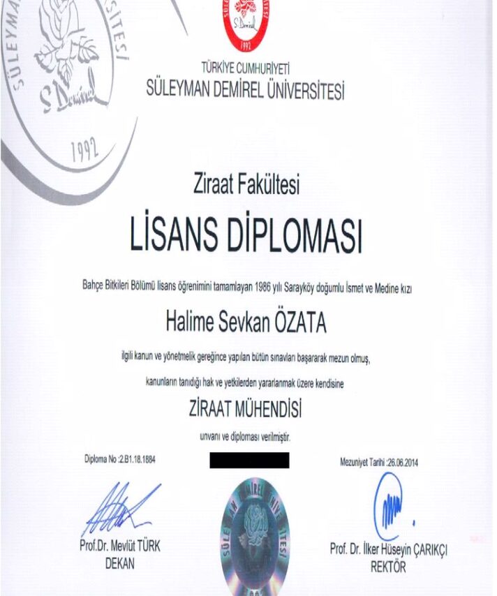 Buy college degree from the Süleyman Demirel Üniversitesi